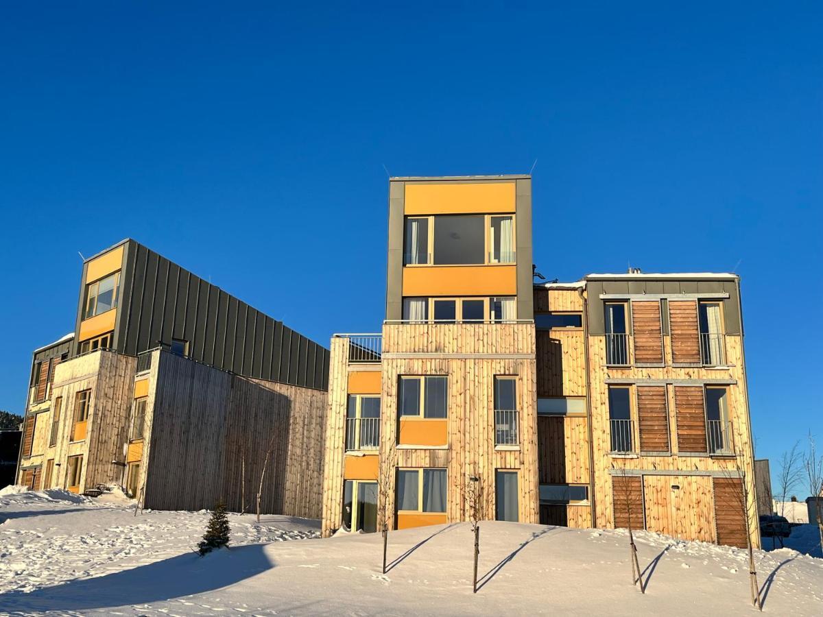 Meadows Apartments Klinovec Loučná pod Klínovcem Buitenkant foto