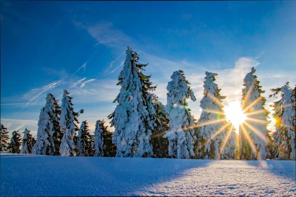 Meadows Apartments Klinovec Loučná pod Klínovcem Buitenkant foto