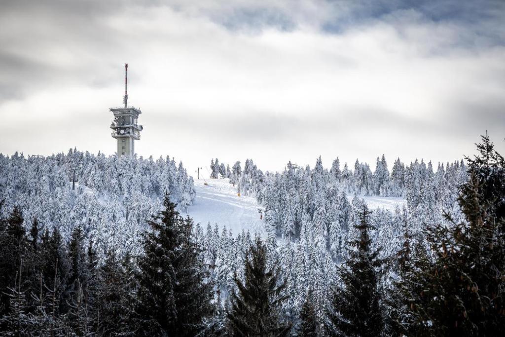 Meadows Apartments Klinovec Loučná pod Klínovcem Buitenkant foto
