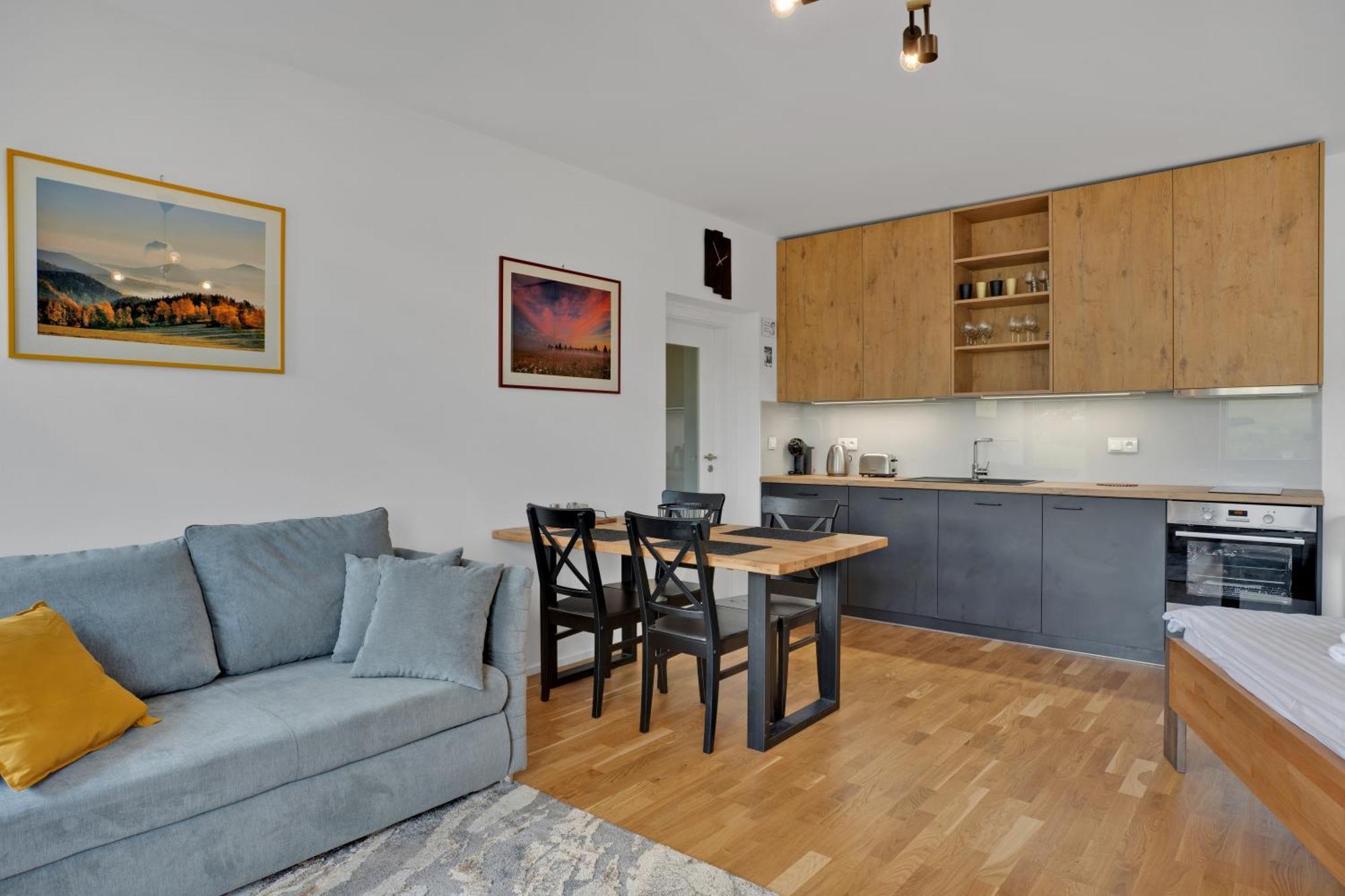 Meadows Apartments Klinovec Loučná pod Klínovcem Buitenkant foto